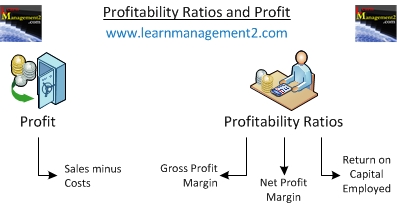 Diagram listing profitability ratios